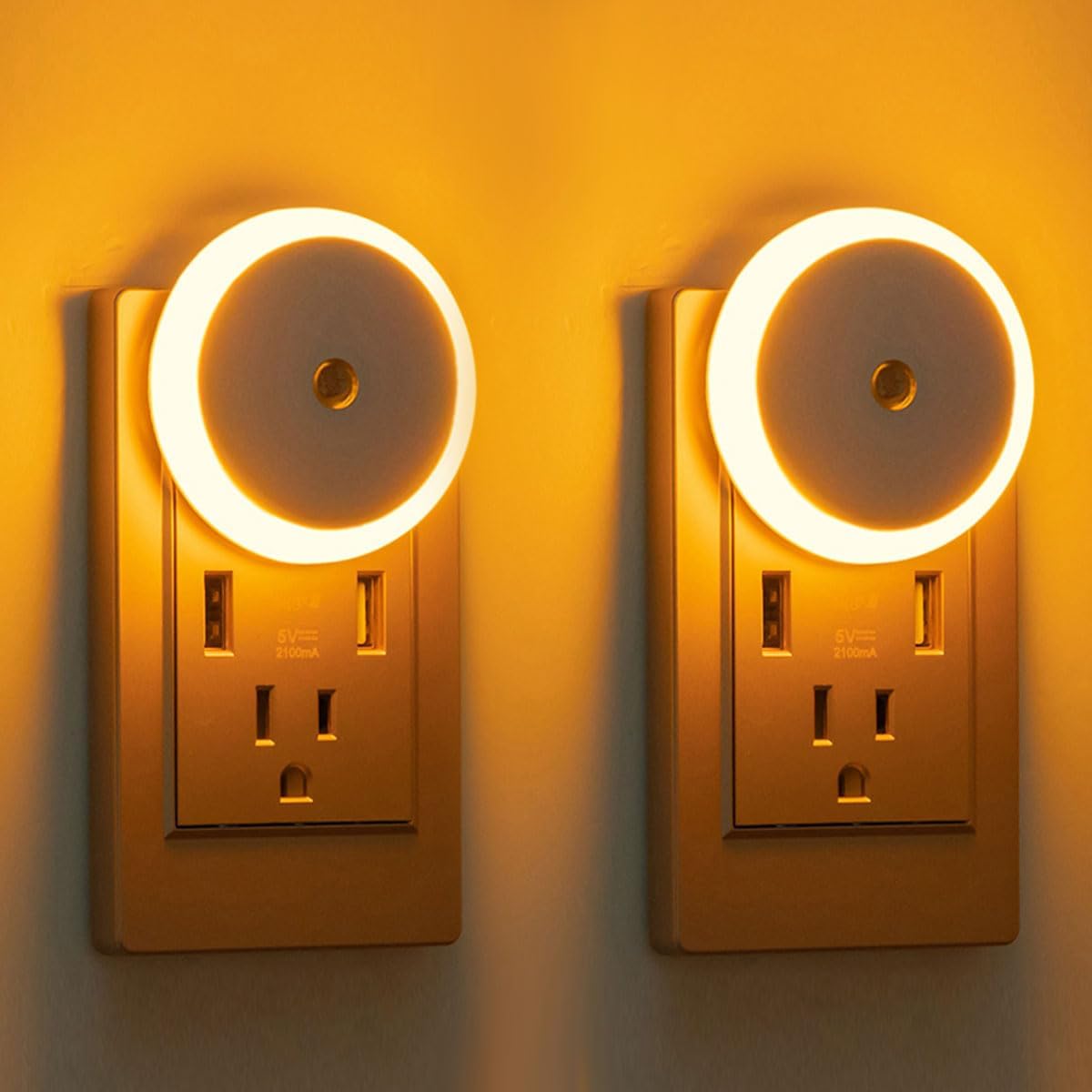 Ibama LED Night Light